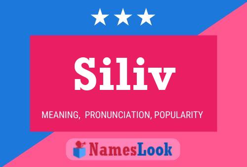 Siliv Namensposter