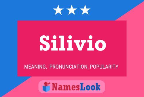 Silivio Namensposter