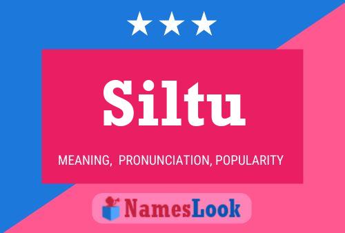 Siltu Namensposter