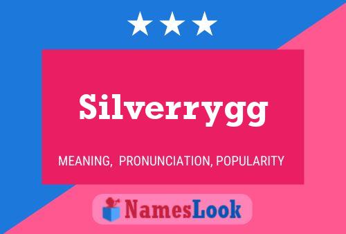 Silverrygg Namensposter