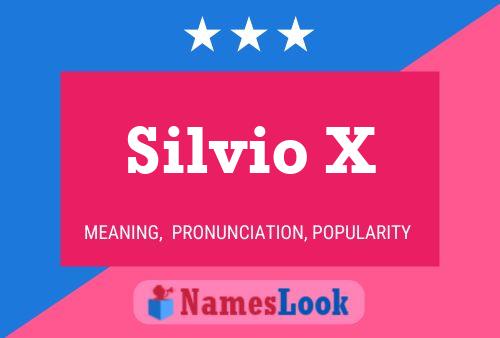 Silvio X Namensposter