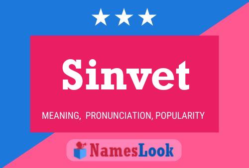 Sinvet Namensposter