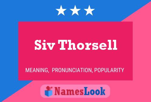 Siv Thorsell Namensposter