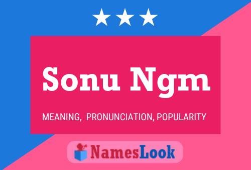 Sonu Ngm Namensposter