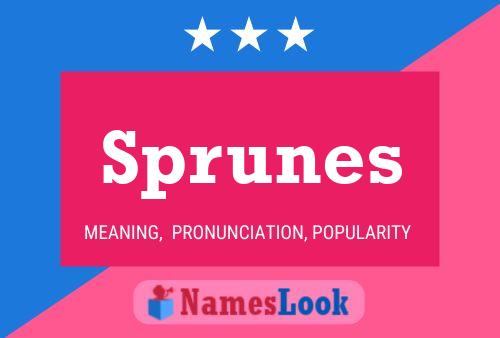 Sprunes Namensposter