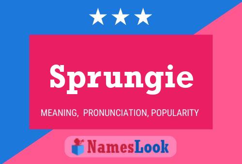 Sprungie Namensposter