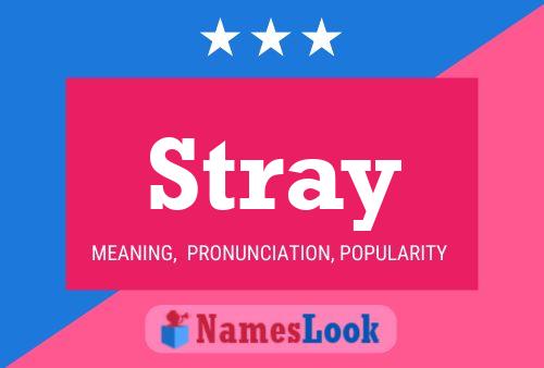 Stray Namensposter