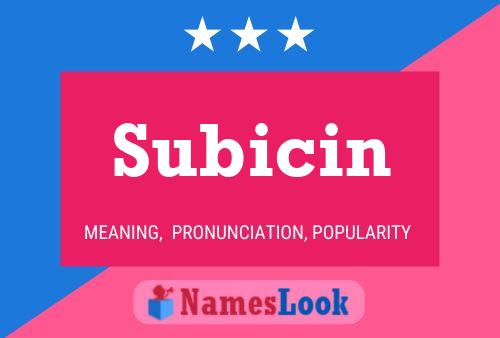 Subicin Namensposter