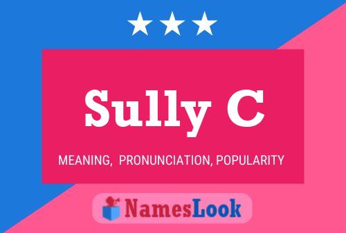 Sully C Namensposter