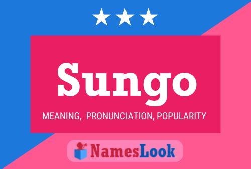 Sungo Namensposter