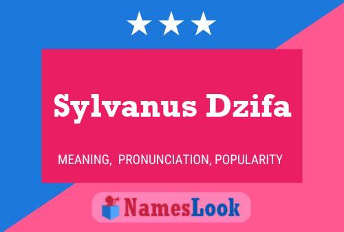 Sylvanus Dzifa Namensposter