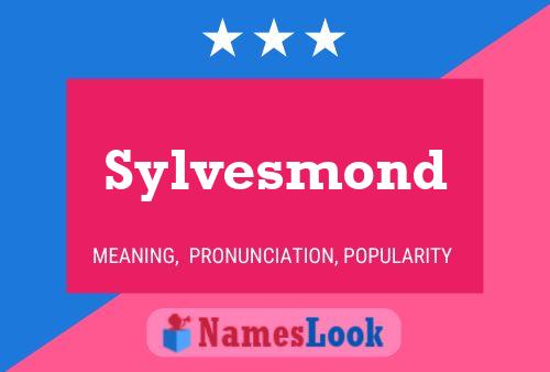 Sylvesmond Namensposter