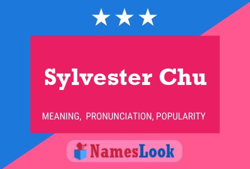 Sylvester Chu Namensposter