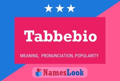 Tabbebio Namensposter