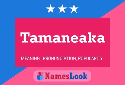 Tamaneaka Namensposter