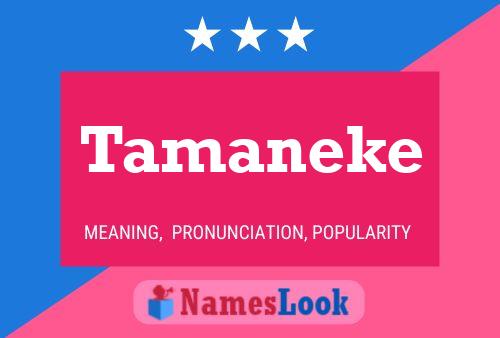 Tamaneke Namensposter