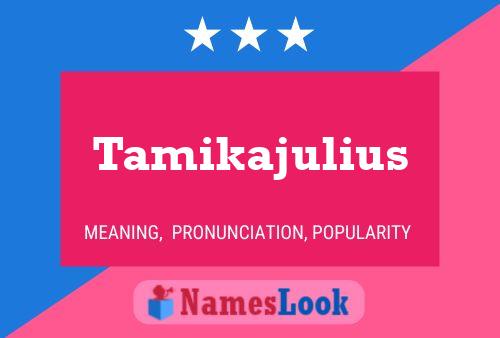 Tamikajulius Namensposter