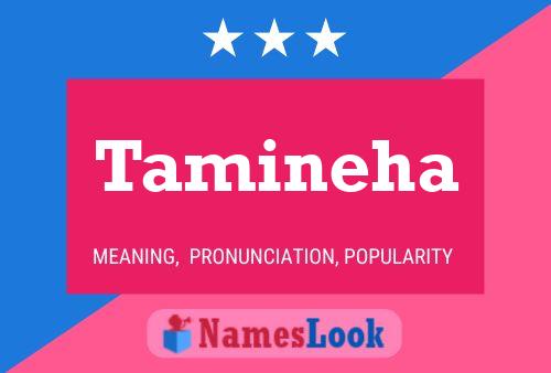 Tamineha Namensposter