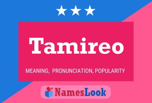 Tamireo Namensposter