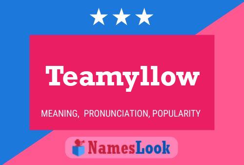 Teamyllow Namensposter