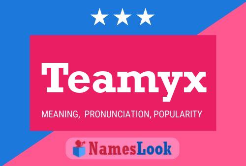 Teamyx Namensposter