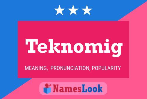 Teknomig Namensposter