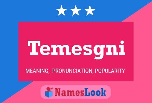 Temesgni Namensposter