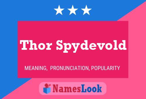 Thor Spydevold Namensposter