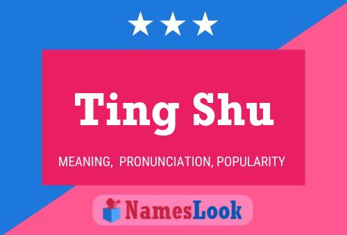 Ting Shu Namensposter