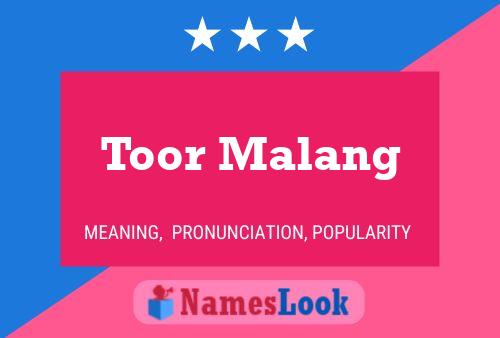 Toor Malang Namensposter