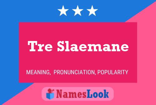 Tre Slaemane Namensposter