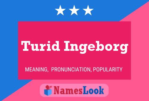 Turid Ingeborg Namensposter