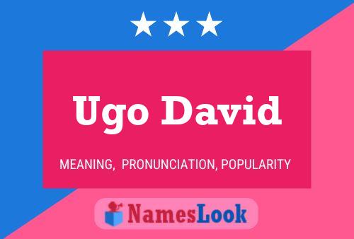 Ugo David Namensposter