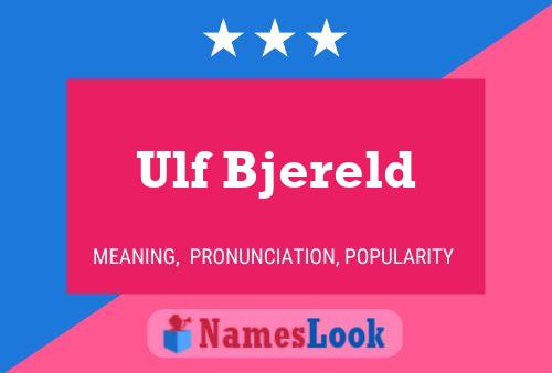 Ulf Bjereld Namensposter