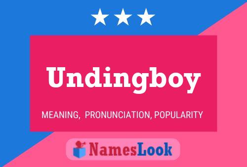 Undingboy Namensposter