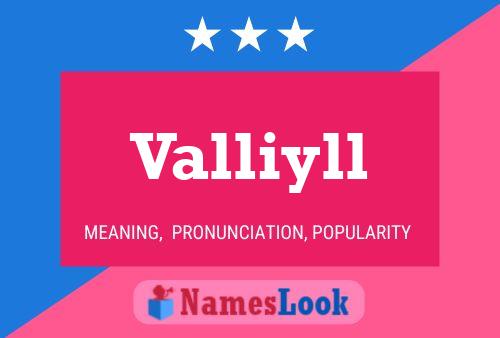 Valliyll Namensposter