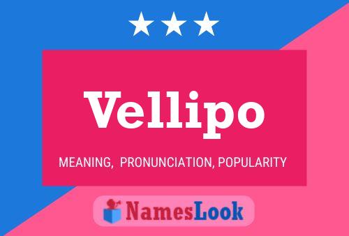 Vellipo Namensposter