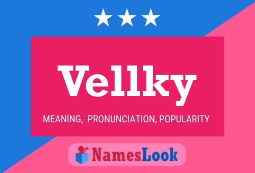 Vellky Namensposter