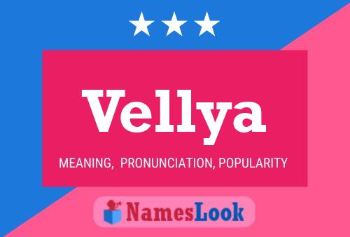 Vellya Namensposter