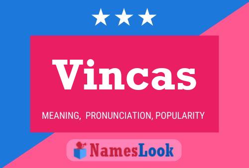 Vincas Namensposter