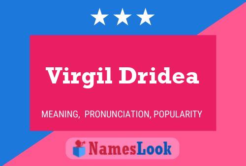 Virgil Dridea Namensposter