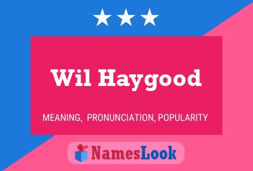 Wil Haygood Namensposter