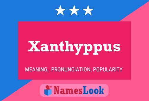 Xanthyppus Namensposter