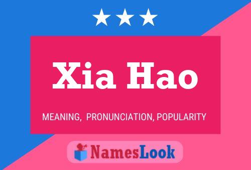 Xia Hao Namensposter