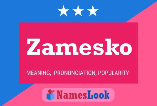 Zamesko Namensposter