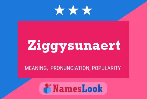 Ziggysunaert Namensposter