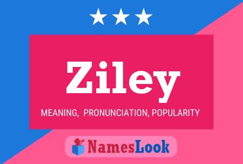 Ziley Namensposter