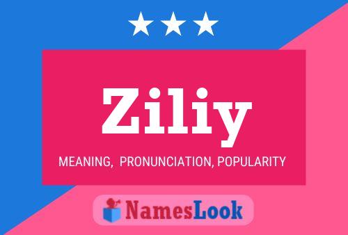 Ziliy Namensposter