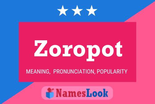 Zoropot Namensposter