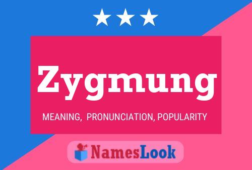 Zygmung Namensposter